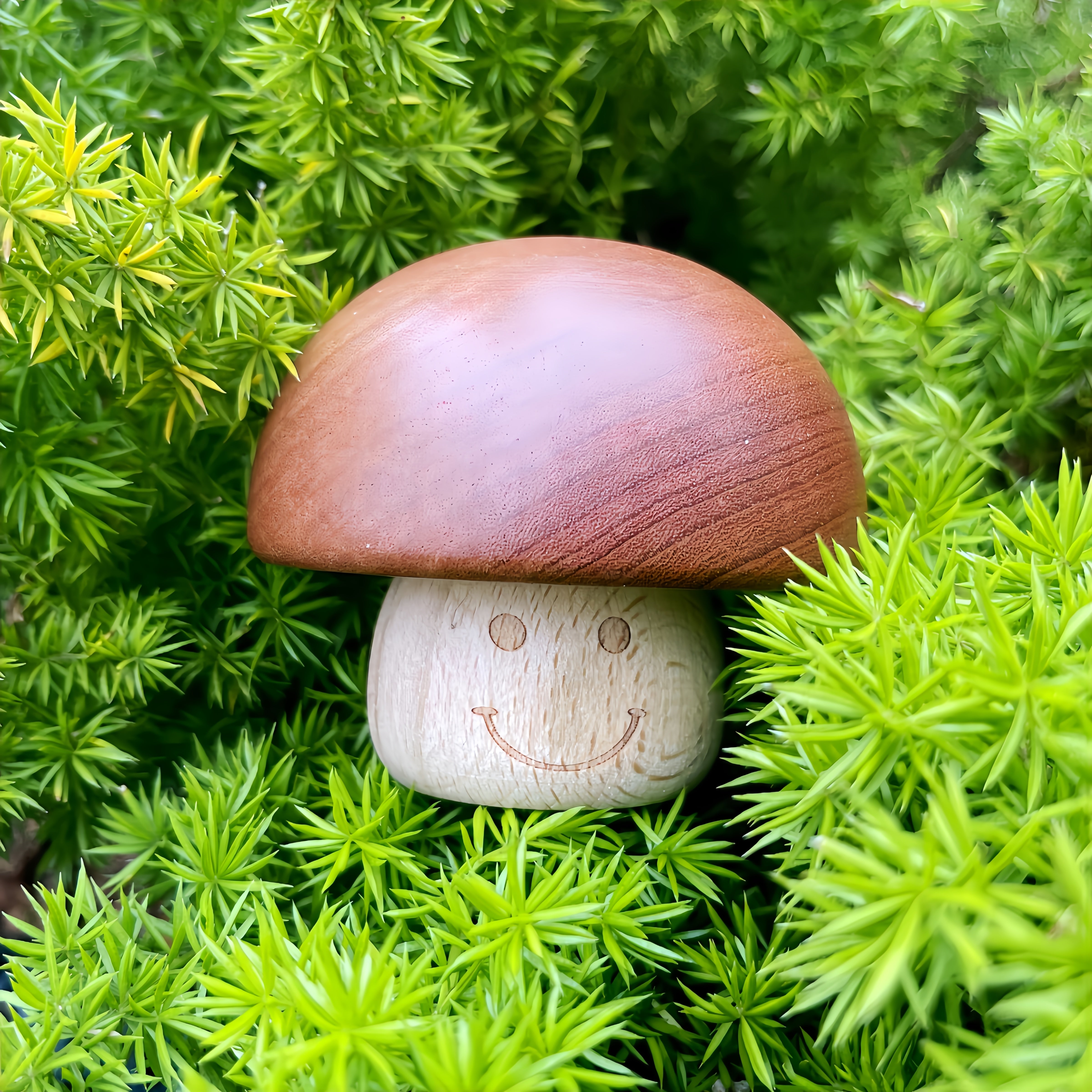 Mushroom Smiley Music Box