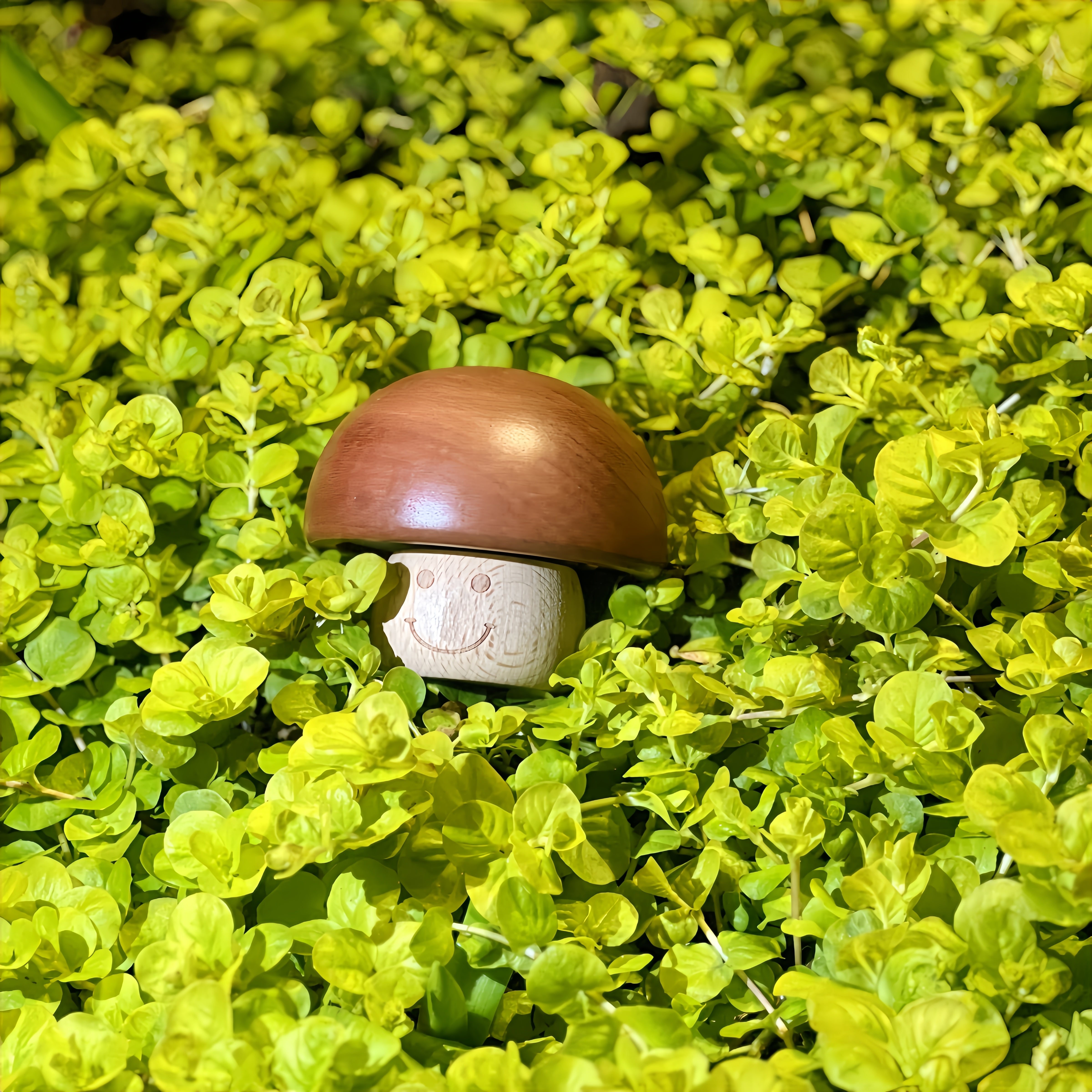 Mushroom Smiley Music Box