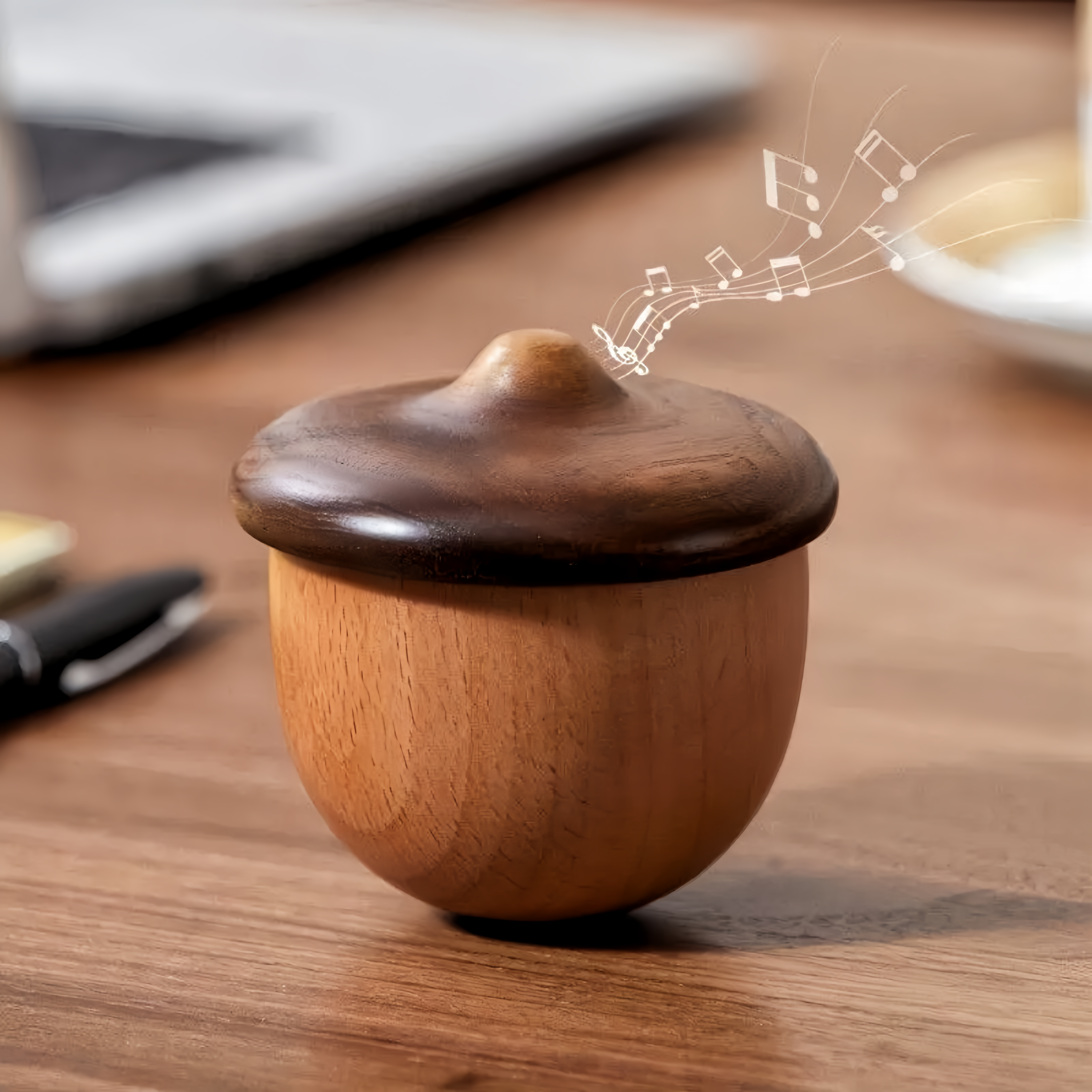 Tumbler Acorn Music Box (Melody Spirited Away)