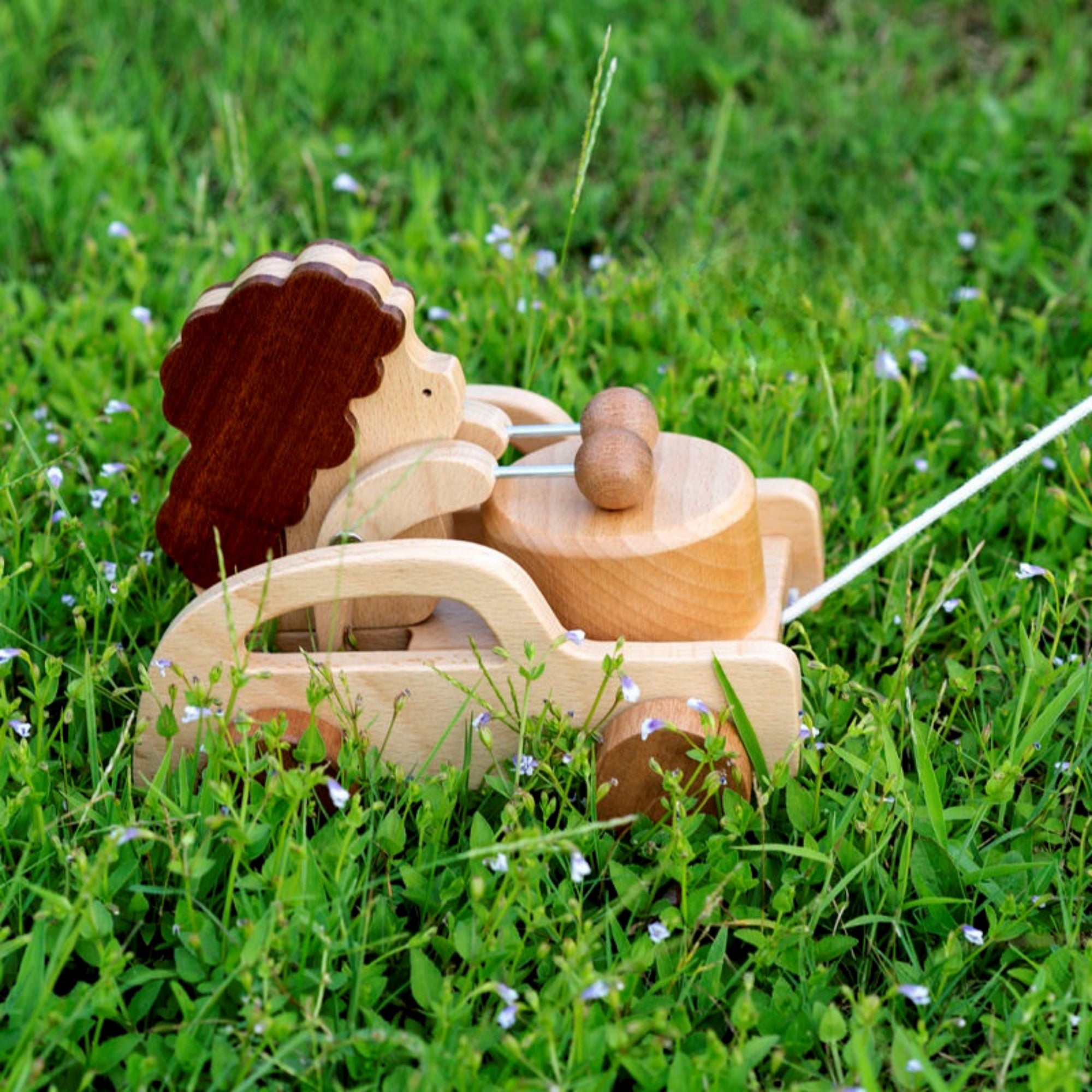 Wooden Hedgehog Trailer