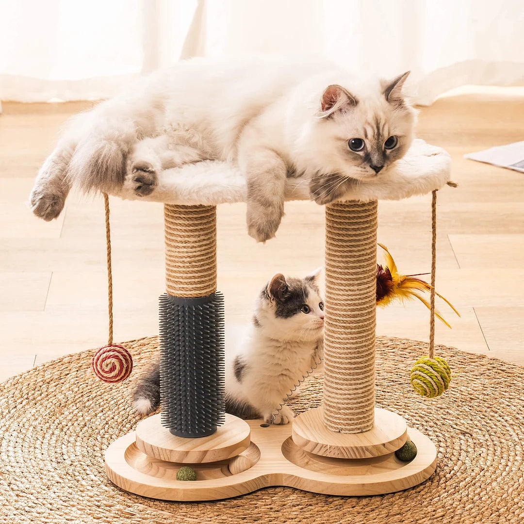 Self-Care Cat Toys -- Elevate Pet Happiness