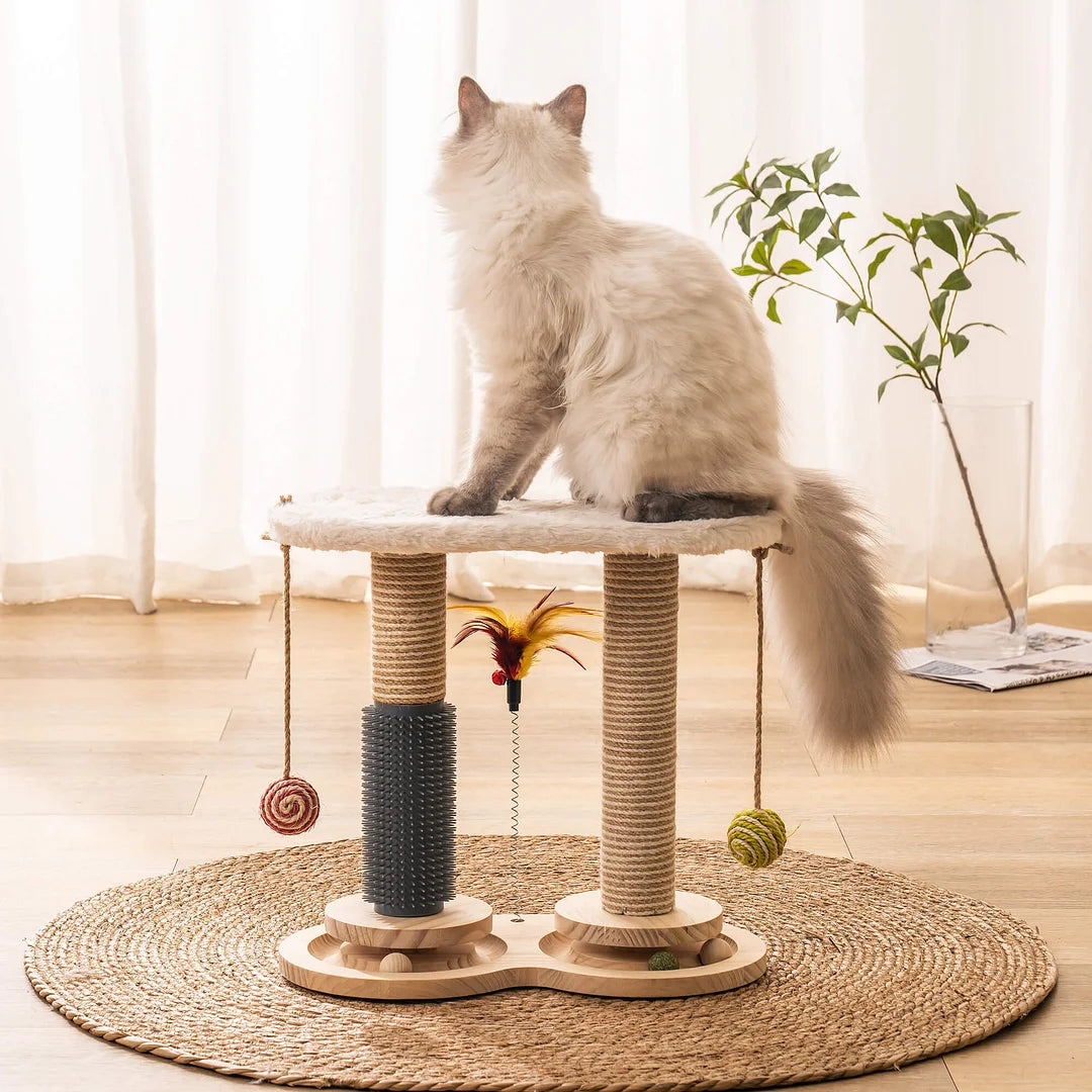 Self-Care Cat Toys -- Elevate Pet Happiness