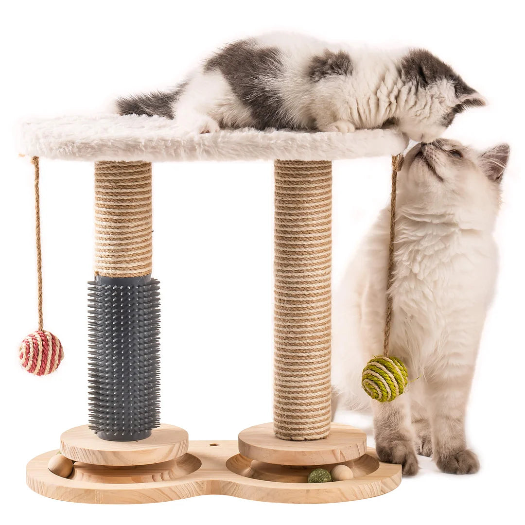 Self-Care Cat Toys -- Elevate Pet Happiness