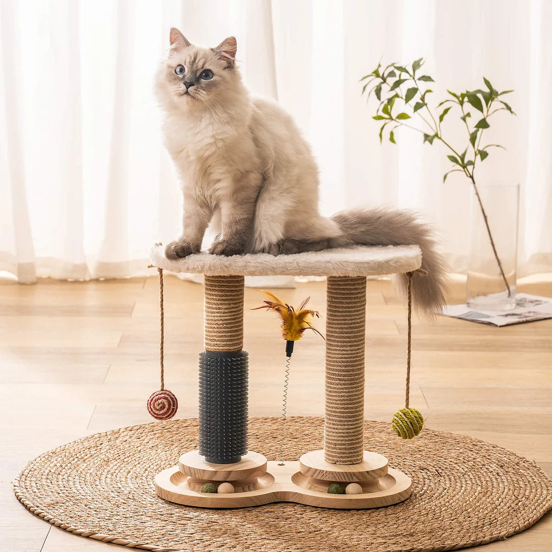 Self-Care Cat Toys -- Elevate Pet Happiness