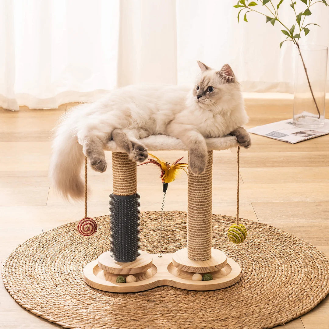 Self-Care Cat Toys -- Elevate Pet Happiness