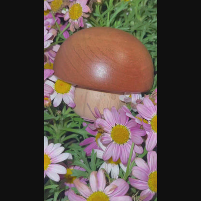 Mushroom Smiley Music Box